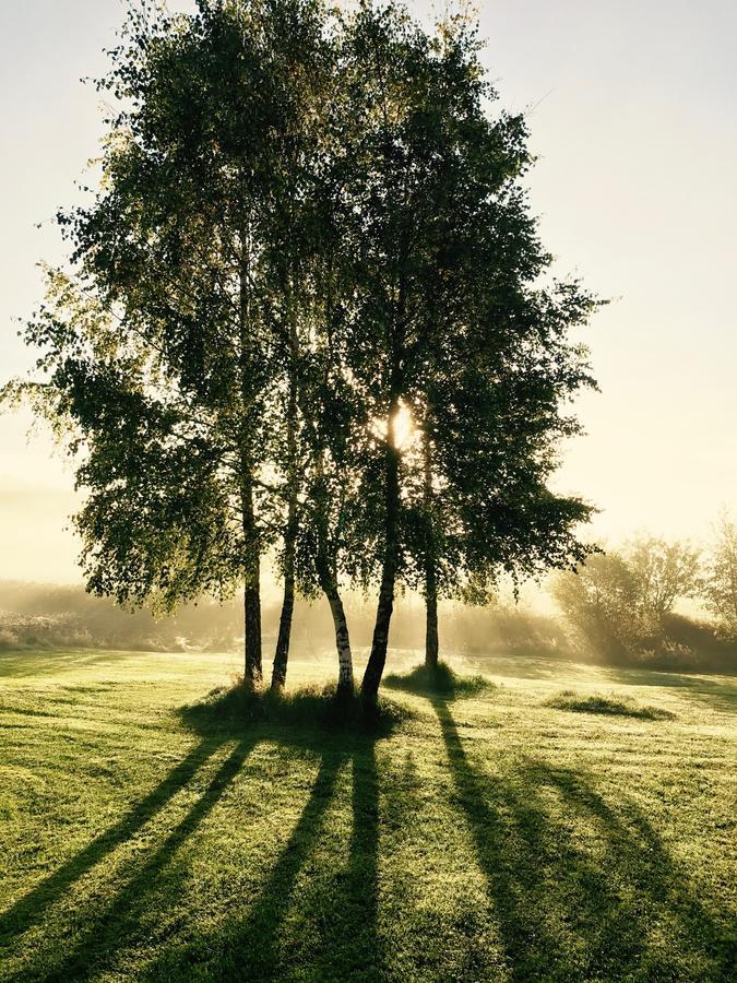 Hagbards By Gardspensionat Sloinge Dış mekan fotoğraf